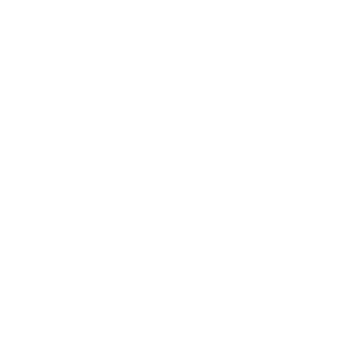 ISO 4 Logo